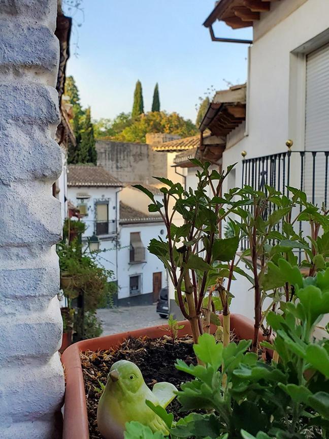 Banos Del Agua Ferienhaus Granada